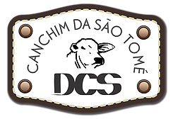 Logo_FazSaoTome